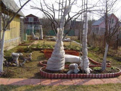 Подготовка дачного участка к зиме
