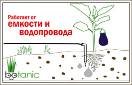 Автополив БОТАНИК